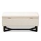 Baxton Studio Esther Modern and Contemporary Beige Velvet Fabric and Dark Brown Finished Wood Storage Ottoman 178-11297-Zoro - alternate 9